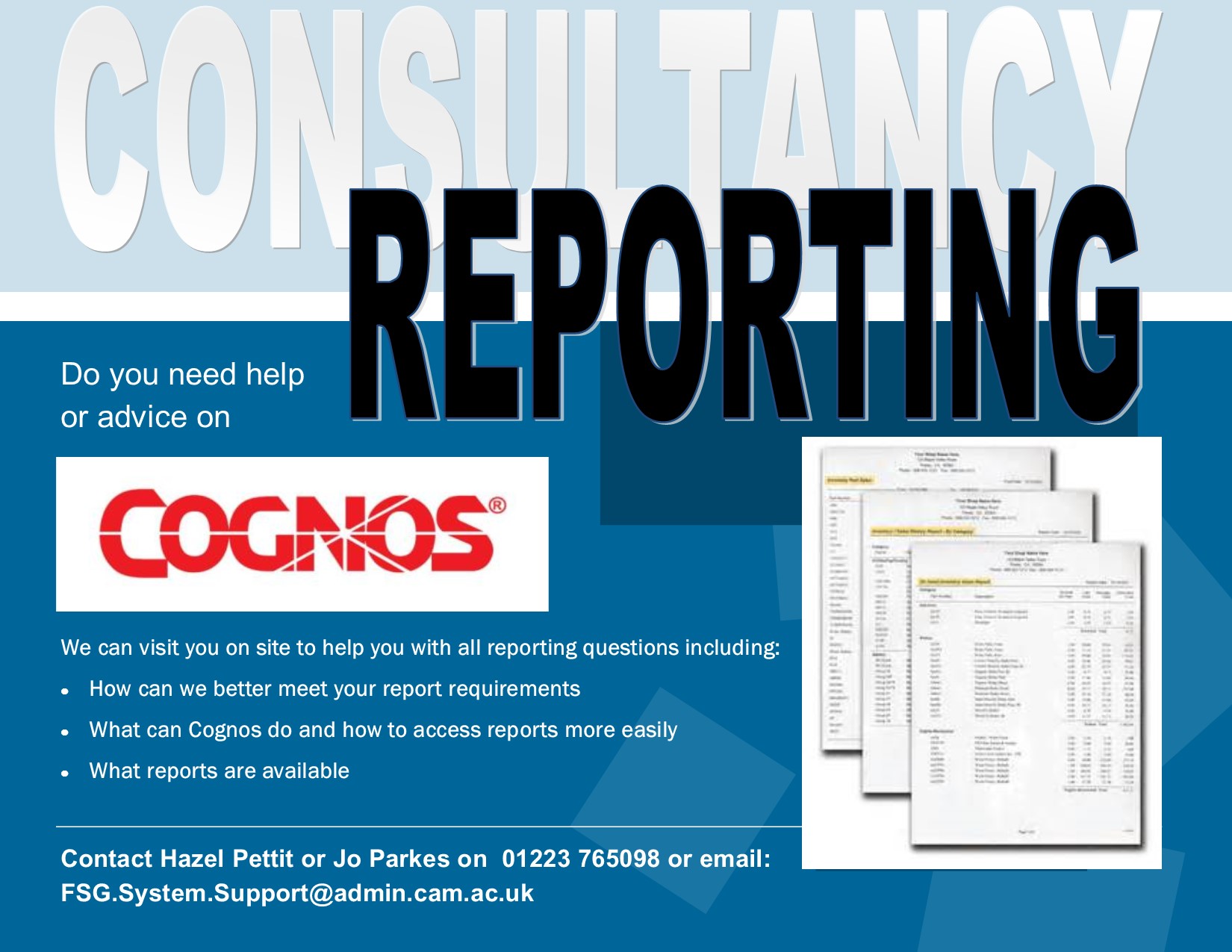 Consultancy services offered by the Reporting Team